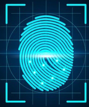 قوانین و مقررات